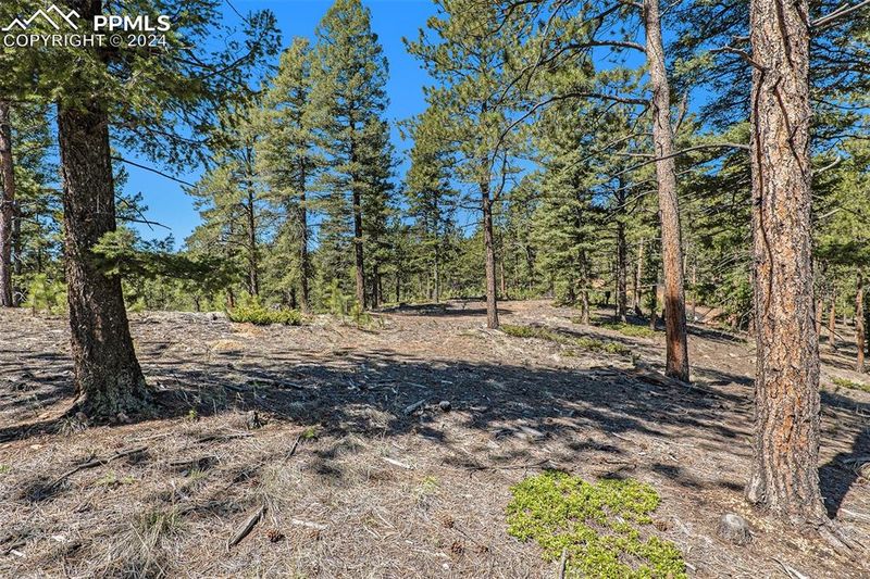 492 Nichole Grv, Woodland Park, CO 80863
