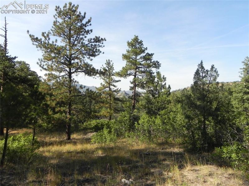4926 Mohawk Dr, Larkspur, CO 80118