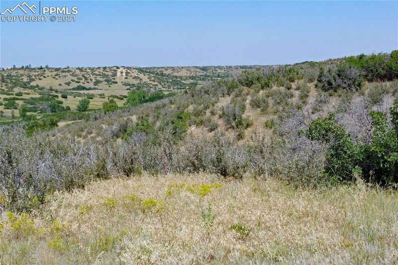 4946 Rocky View Point, Castle Rock, CO 80108