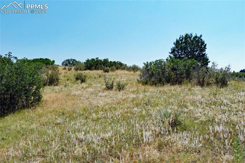 4946 Rocky View Point, Castle Rock, CO 80108
