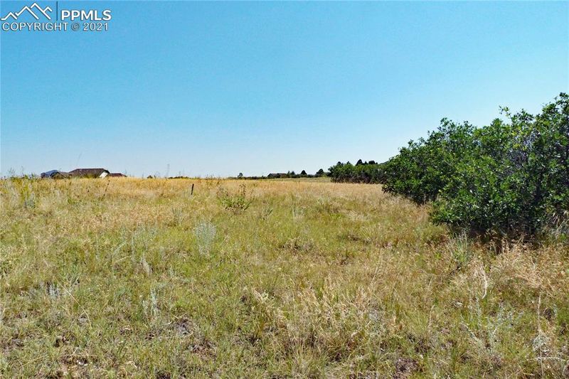 4946 Rocky View Point, Castle Rock, CO 80108