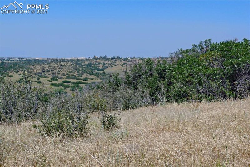 4946 Rocky View Point, Castle Rock, CO 80108