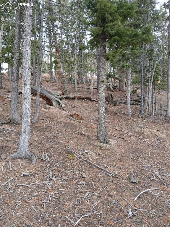 495 Wakanda Trl, Woodland Park, CO 80863