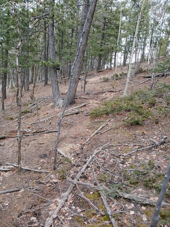 495 Wakanda Trl, Woodland Park, CO 80863