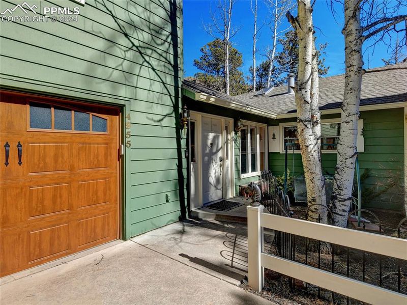 4955 Dodd Rd, Cascade, CO 80809