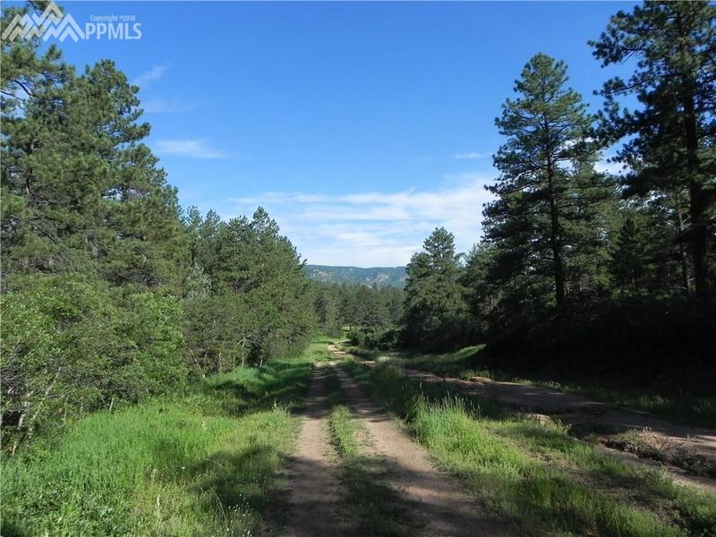4955 Mohawk Dr, Larkspur, CO 80118
