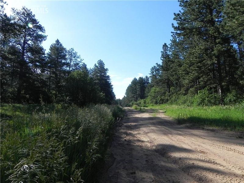 4955 Mohawk Dr, Larkspur, CO 80118