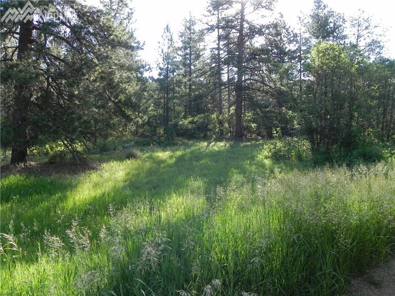 4955 Mohawk Dr, Larkspur, CO 80118