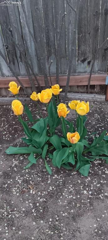 50 Dartmouth St, Colorado Springs, CO 80911