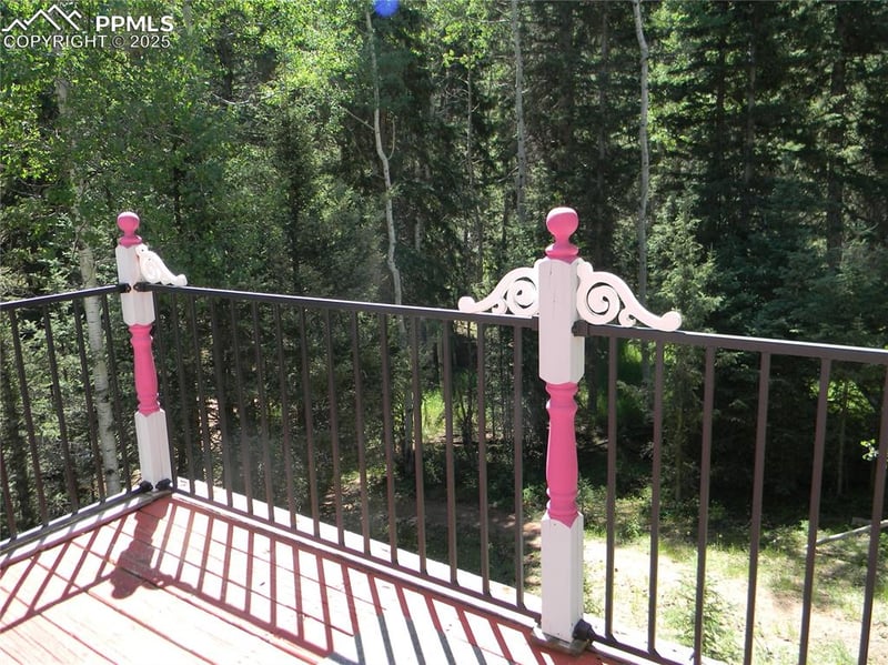 500 Pinon Lake Dr, Divide, CO 80814