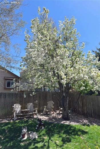 5011 Rushford Pl, Colorado Springs, CO 80923