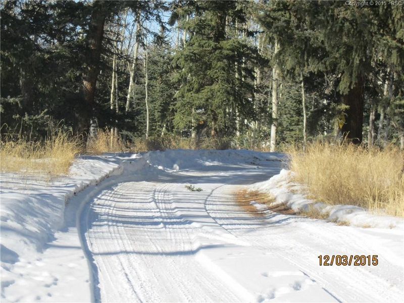 503 Dani Pl, Divide, CO 80814