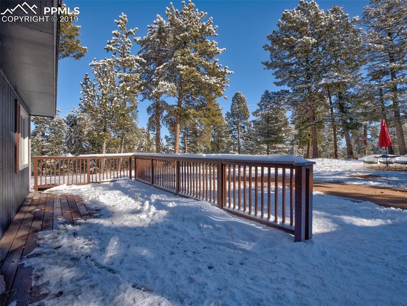 509 Golden Bell Ln, Divide, CO 80814