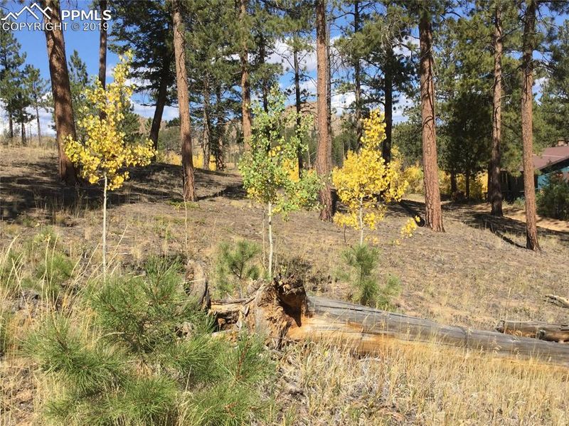 511 Turkey Creek Dr, Sedalia, CO 80135