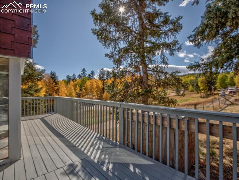 511 Will Scarlet Dr, Divide, CO 80814
