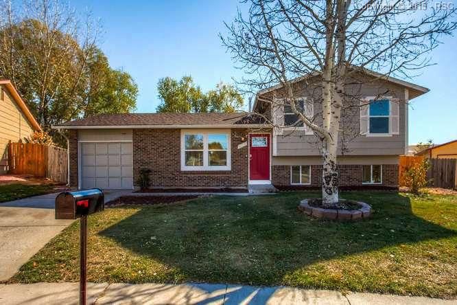 5125 Webbed Foot Way, Colorado Springs, CO 80911