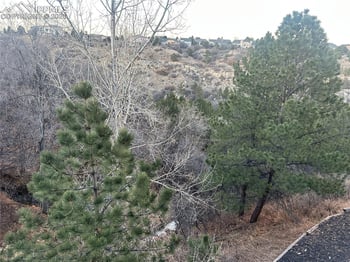 5130 Vista Del Norte Point, Colorado Springs, CO 80919