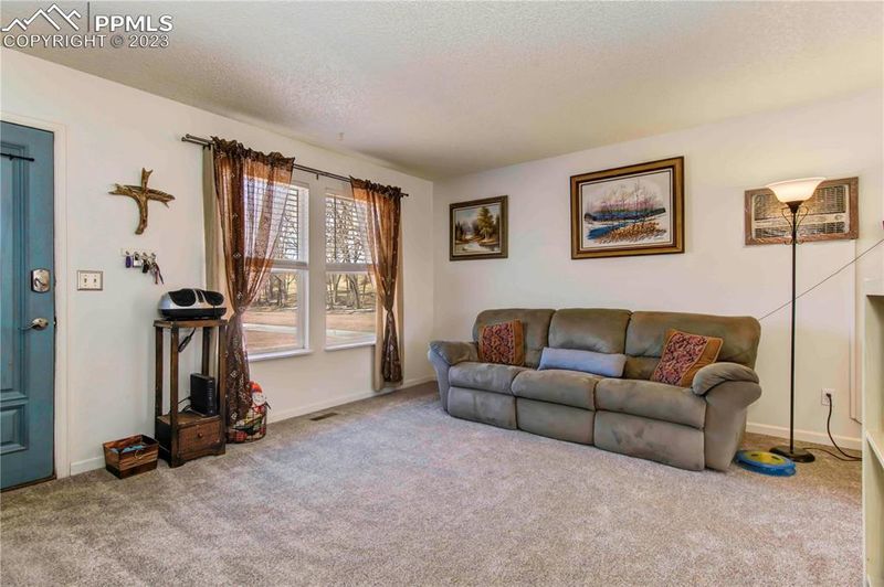 5145 Webbed Foot Way, Colorado Springs, CO 80911