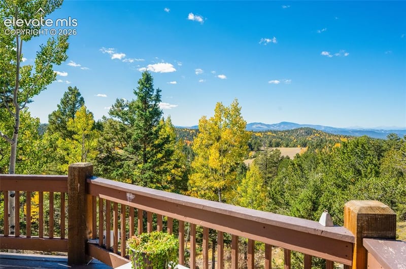 516 Saguache Dr, Florissant, CO 80816