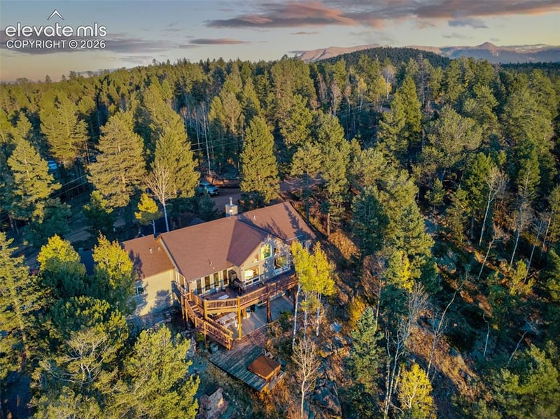 516 Saguache Dr, Florissant, CO 80816