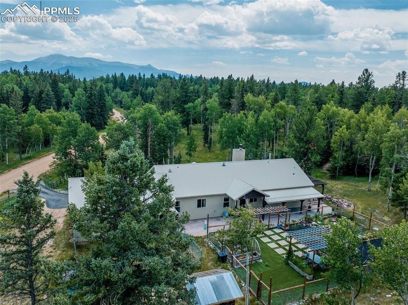 517 Aspen Village Rd, Divide, CO 80814