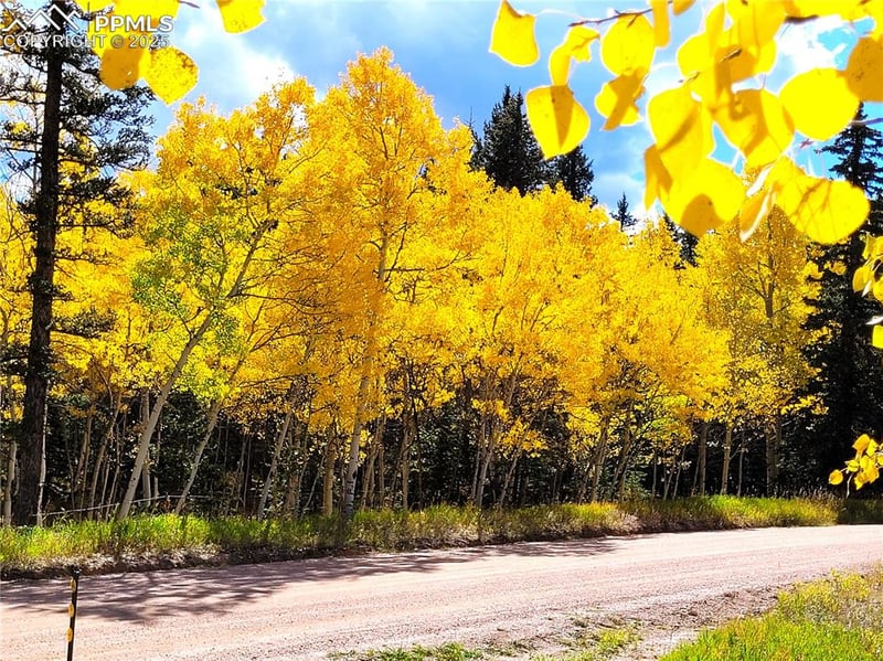 517 Aspen Village Rd, Divide, CO 80814