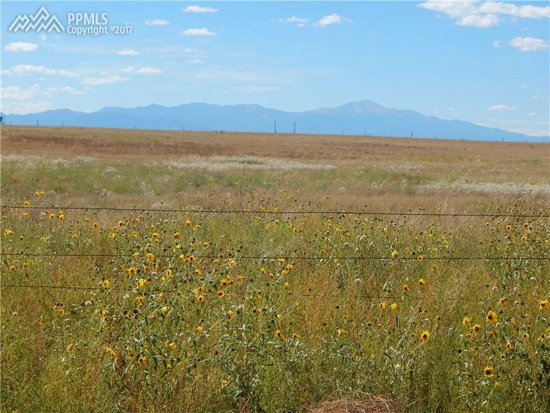 5190 Henderson Ln, Calhan, CO 80808