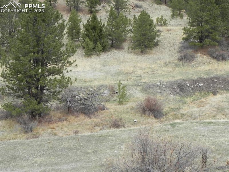 521 Monarch Dr, Cripple Creek, CO 80813