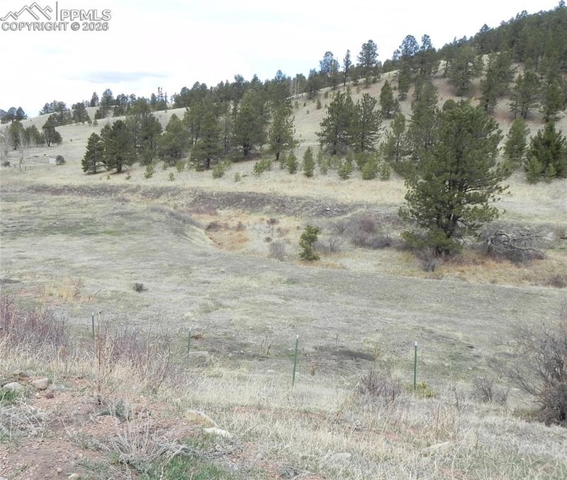 521 Monarch Dr, Cripple Creek, CO 80813