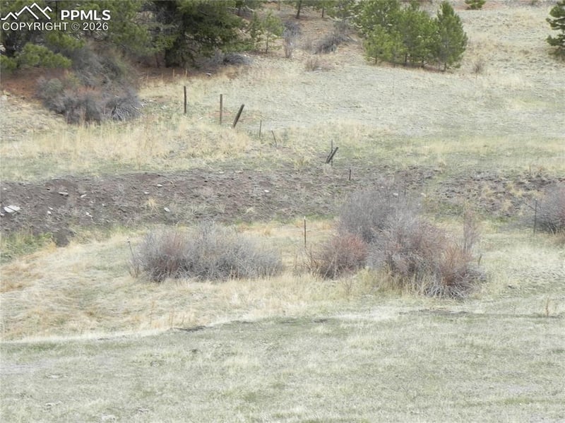 521 Monarch Dr, Cripple Creek, CO 80813