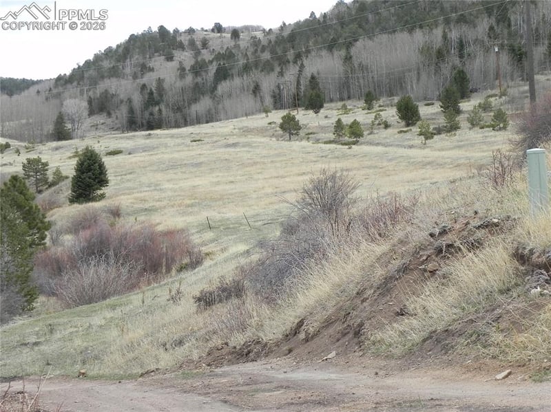521 Monarch Dr, Cripple Creek, CO 80813