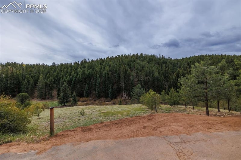 521 University Dr, Woodland Park, CO 80863