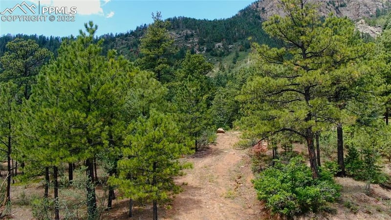 5218 Little Turkey Creek Rd, Colorado Springs, CO 80926