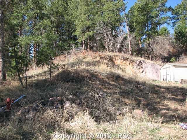 525 Southfork Dr, Palmer Lake, CO 80133