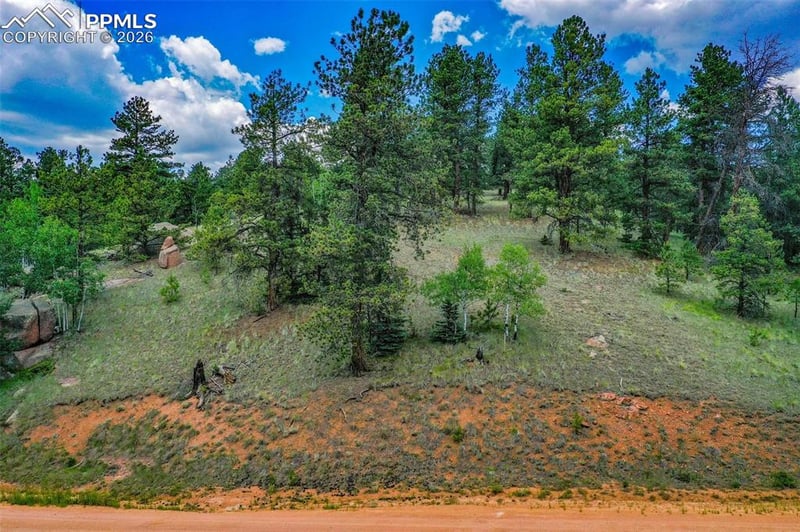 525 Spring Valley Ln, Florissant, CO 80816