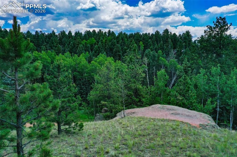 525 Spring Valley Ln, Florissant, CO 80816