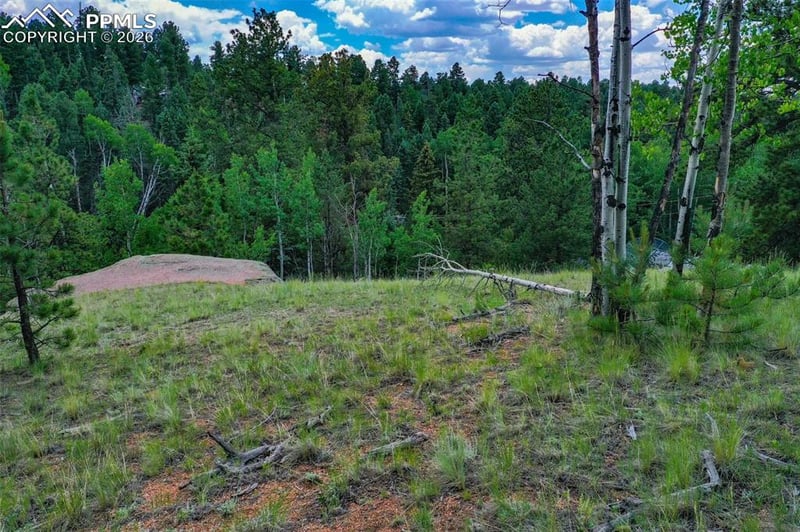 525 Spring Valley Ln, Florissant, CO 80816