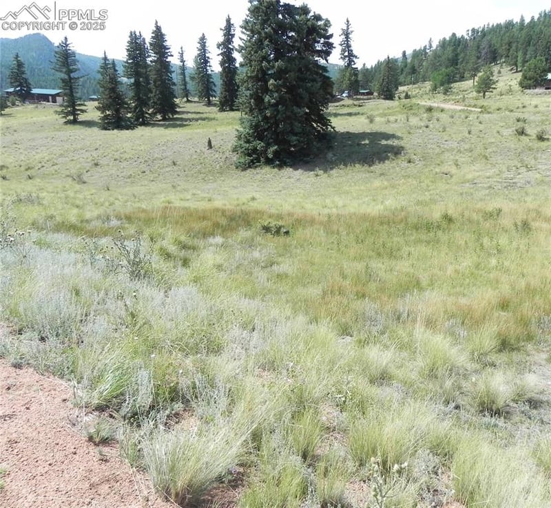 53 Nickel Plate Rd, Cripple Creek, CO 80813