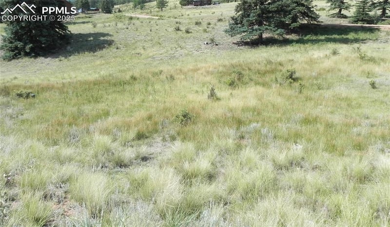 53 Nickel Plate Rd, Cripple Creek, CO 80813