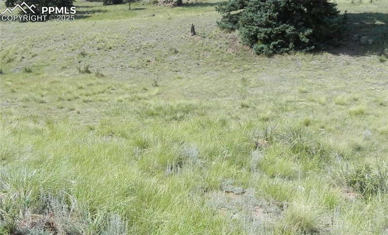 53 Nickel Plate Rd, Cripple Creek, CO 80813