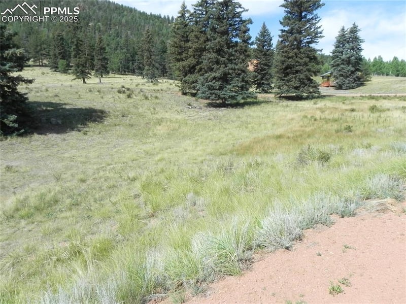 53 Nickel Plate Rd, Cripple Creek, CO 80813