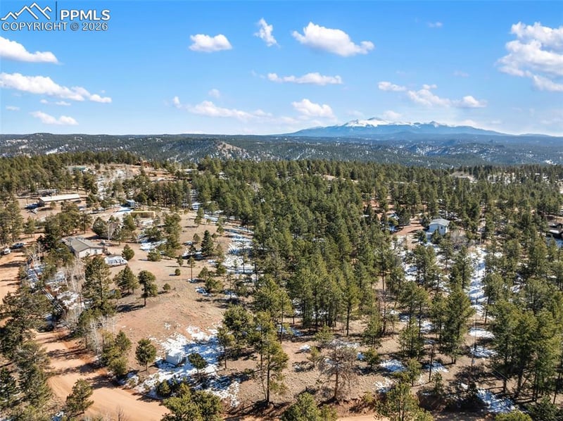 530 Columbine Rd, Florissant, CO 80816