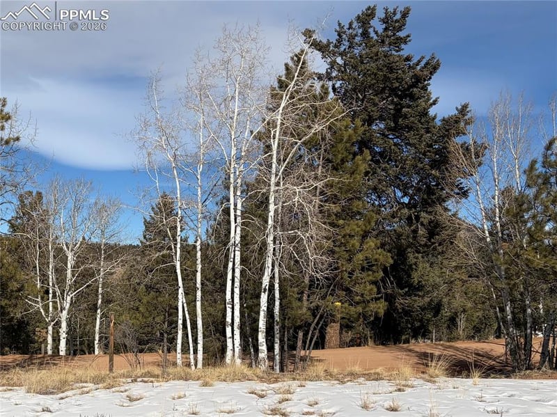 530 Columbine Rd, Florissant, CO 80816