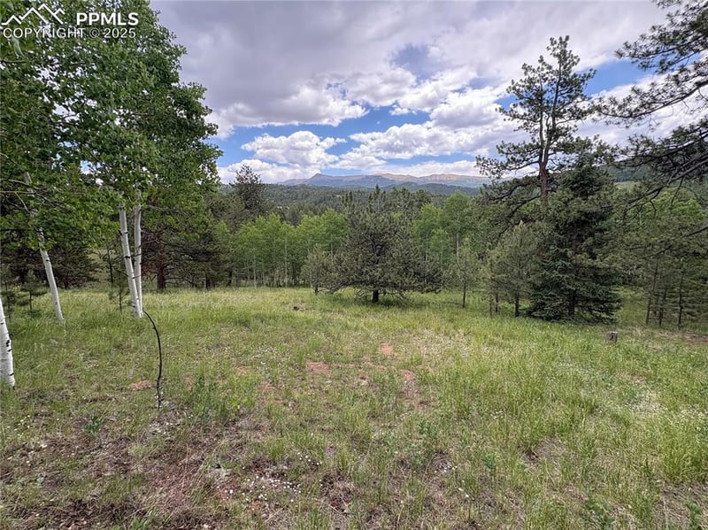 532 May Queen Dr, Cripple Creek, CO 80813
