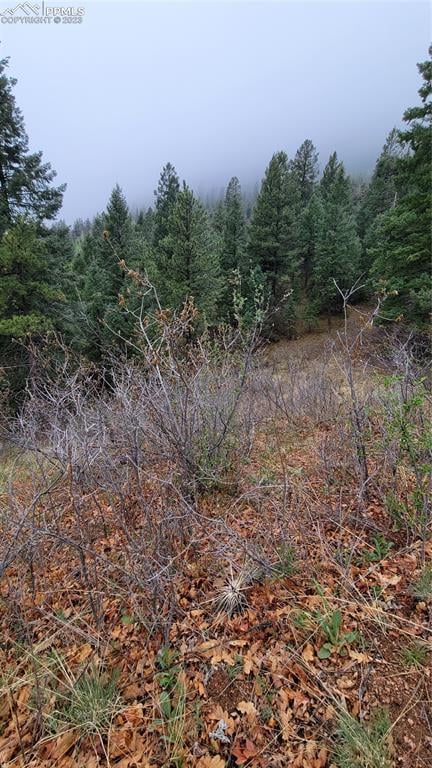 5325 Kulsa Rd, Cascade, CO 80809