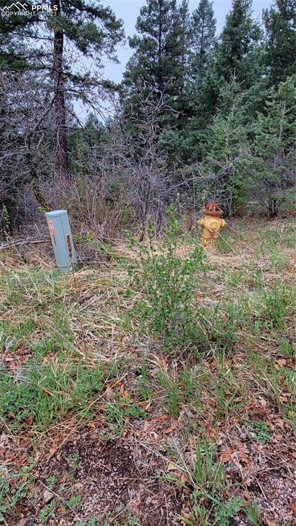 5325 Kulsa Rd, Cascade, CO 80809