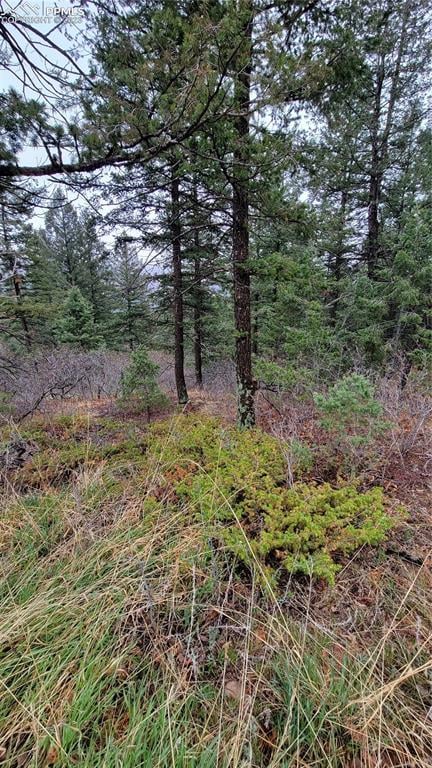 5325 Kulsa Rd, Cascade, CO 80809