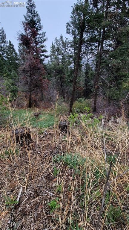 5325 Kulsa Rd, Cascade, CO 80809