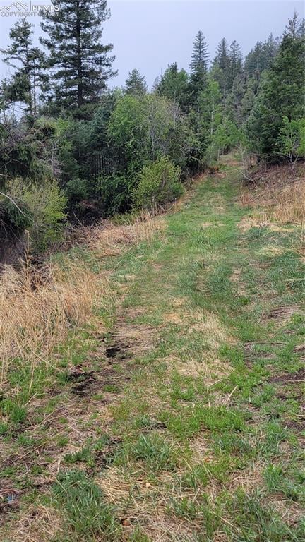 5325 Kulsa Rd, Cascade, CO 80809
