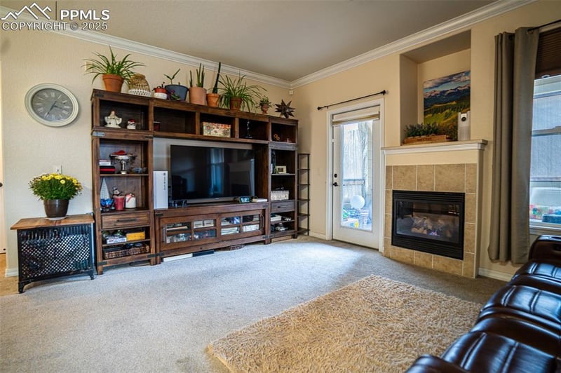 5378 Palomino Ranch Point #101, Colorado Springs, CO 80923